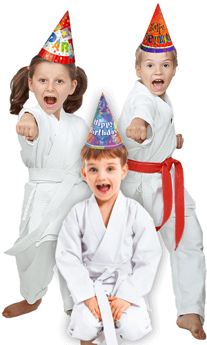 Martial Arts Birthday Party for Kids in __CITY__ __STATE__ - Birthday Punches Page Banner